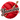 Yarnoculous